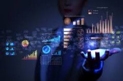  软件开发与技术解决方案